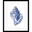 Navy Shell Print 2
