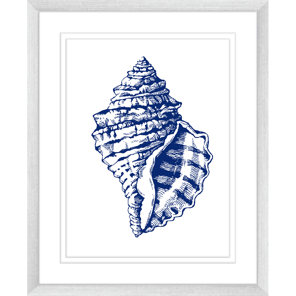 Navy Shell Print 2