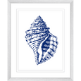 Navy Shell Print 2