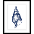 Navy Shell Print 3