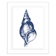Navy Shell Print 3
