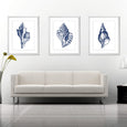 Navy Shell Print 1