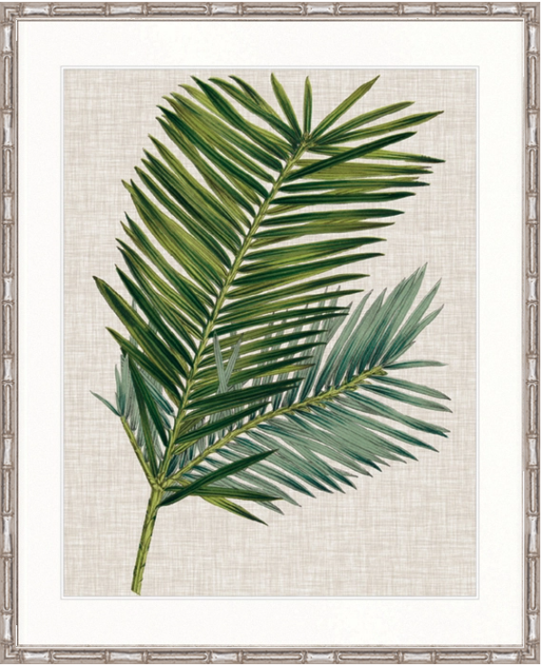 Tropical Evergreen I