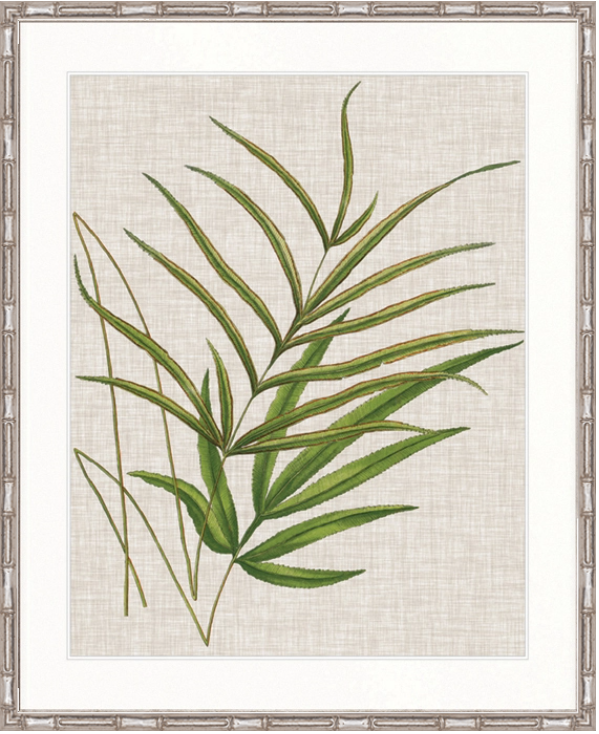 Tropical Evergreen V