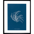 Whitehaven 01 Print
