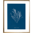 Whitehaven 02 Print