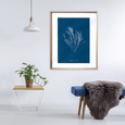 Whitehaven 02 Print