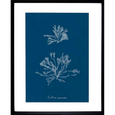 Whitehaven 03 Print