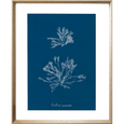 Whitehaven 03 Print