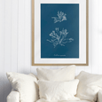 Whitehaven 03 Print