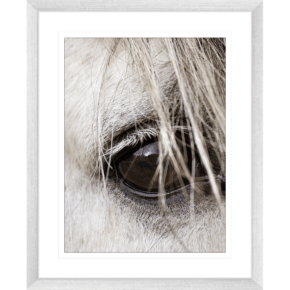 Austin Horses #16