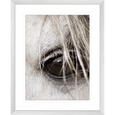 Austin Horses #16