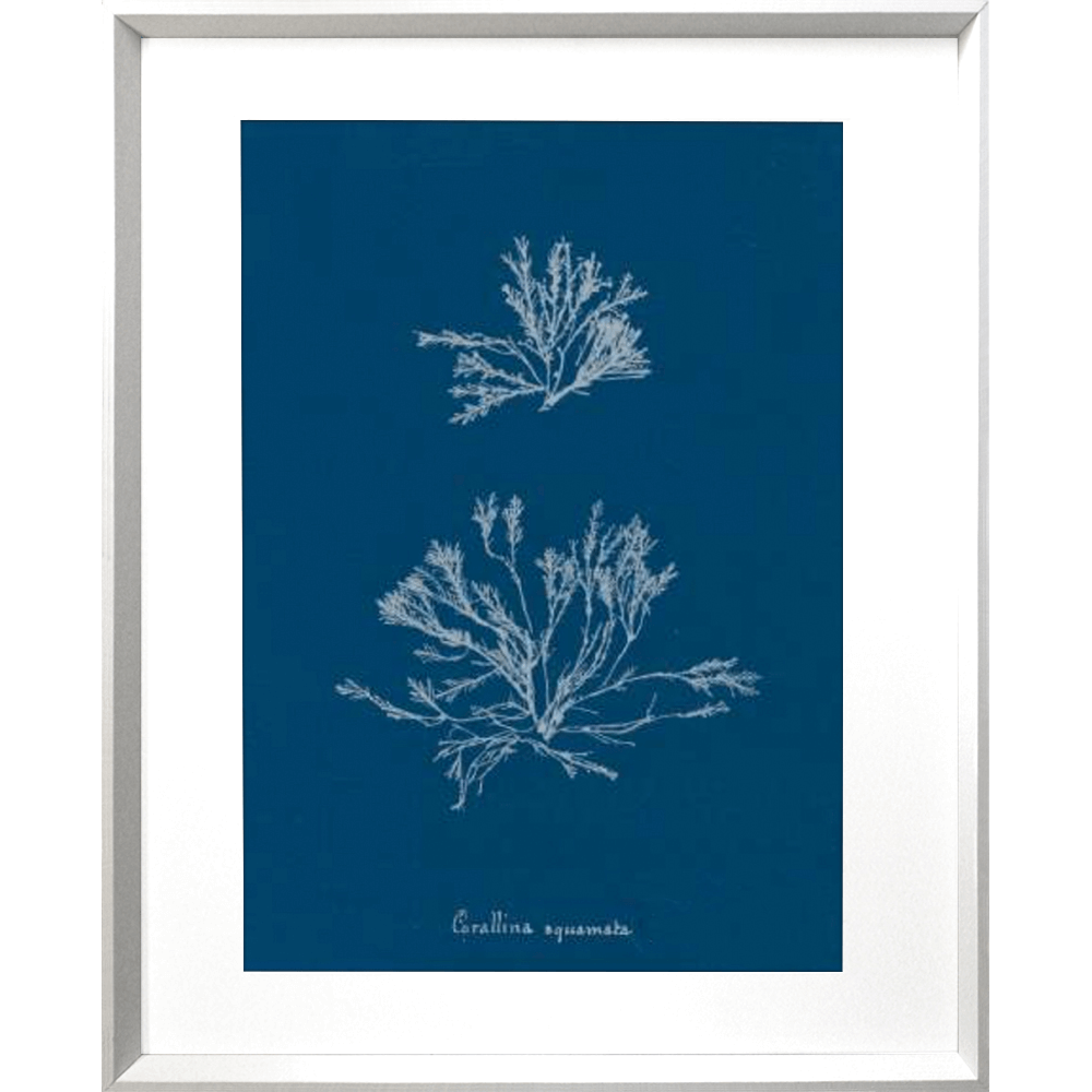 Whitehaven 03 Print