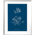 Whitehaven 03 Print