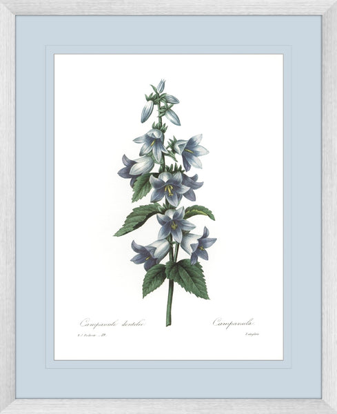 Botanical #04 Print with Blue Mat