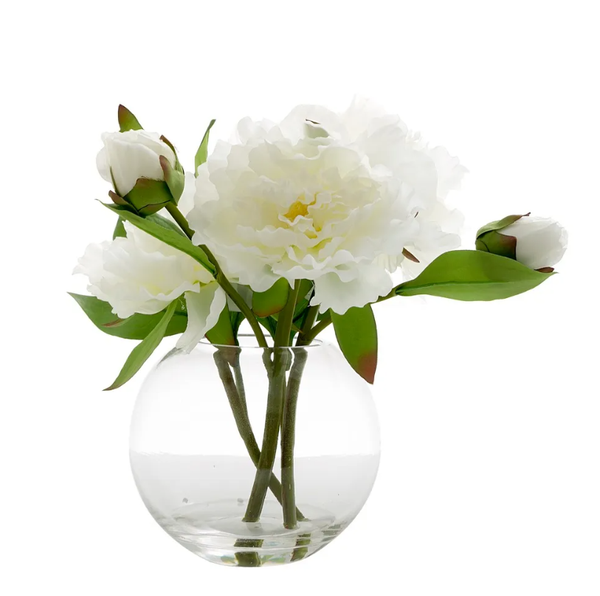 Peony in Water Bowl White