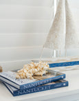 Brighton Shell Garland On Jute String