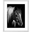 Austin Horses #07