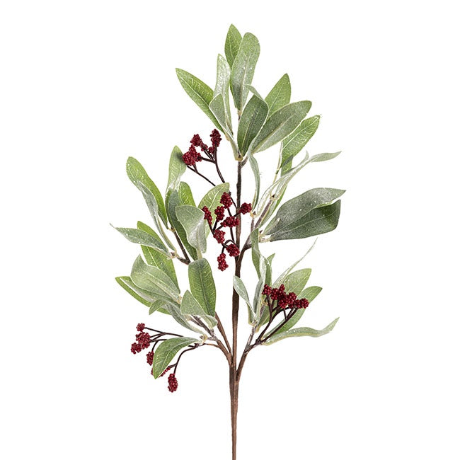Cluster Red Berry Leaf Spray Green