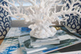 Coral Pinnate White