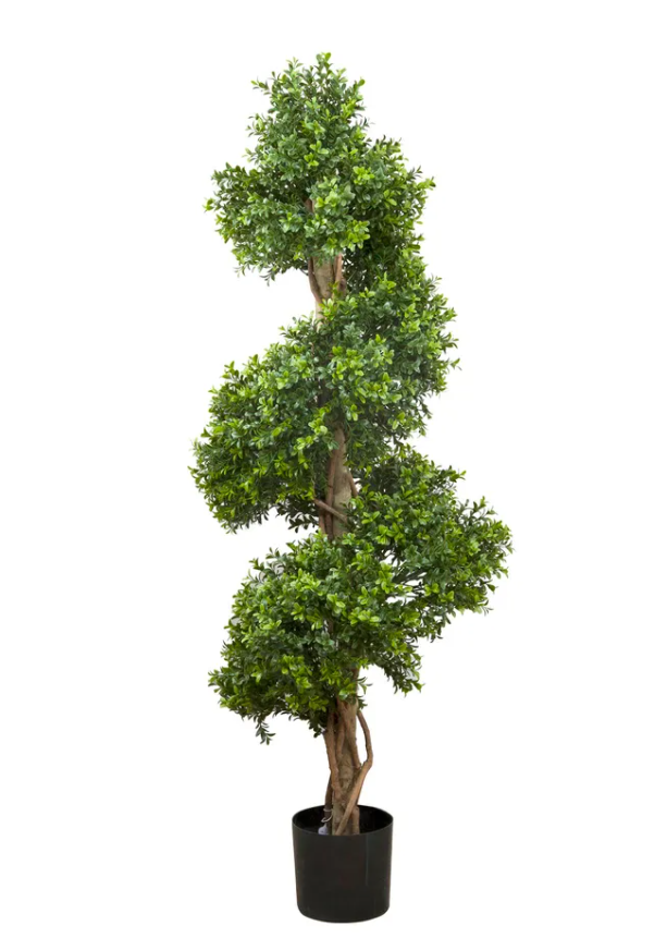 Boxwood Spiral 1.5 Meter