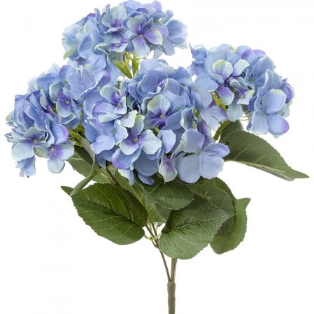 Hydrangeas