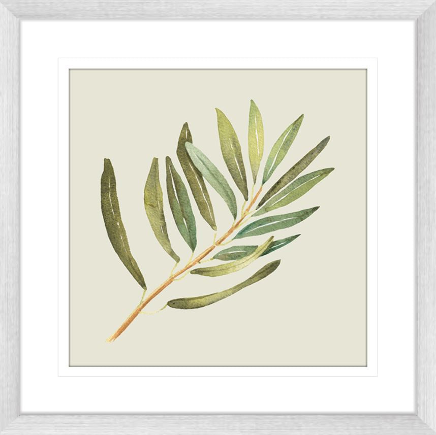 Olive Grove 02