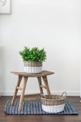 Denver Elm Stool
