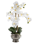 Potted Orchid in Silver Bowl Small White