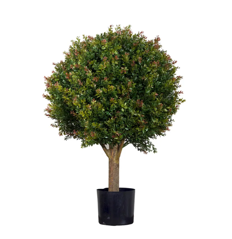 Red Day Leaf Ball Tree 85cm