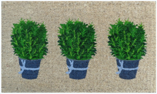 Rosemary Pots Regular Doormat