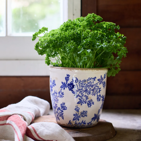 Blue and white ceramic plant pot with fresh herbs styled on a kitchen bench in a coastal Hamptons-style home.