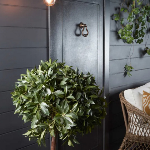 Brass exterior wall sconce mounted beside black front door with greenery in a Hamptons style outdoor entry