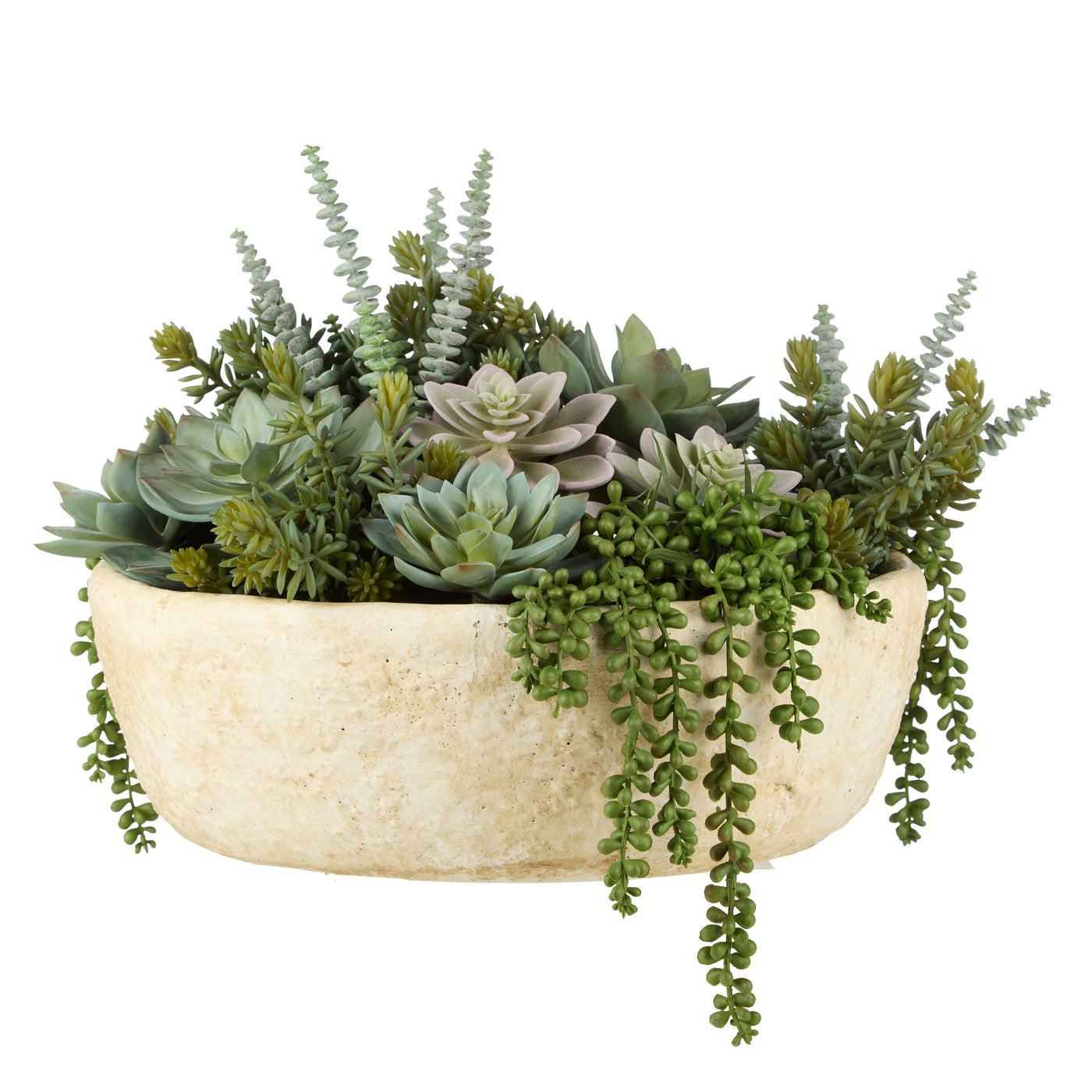 Succulent Garden in Textured Cement Pot