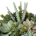 Succulent Garden in Textured Cement Pot