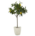 Lemon Tree-Rustic Stone Look Planter Pot