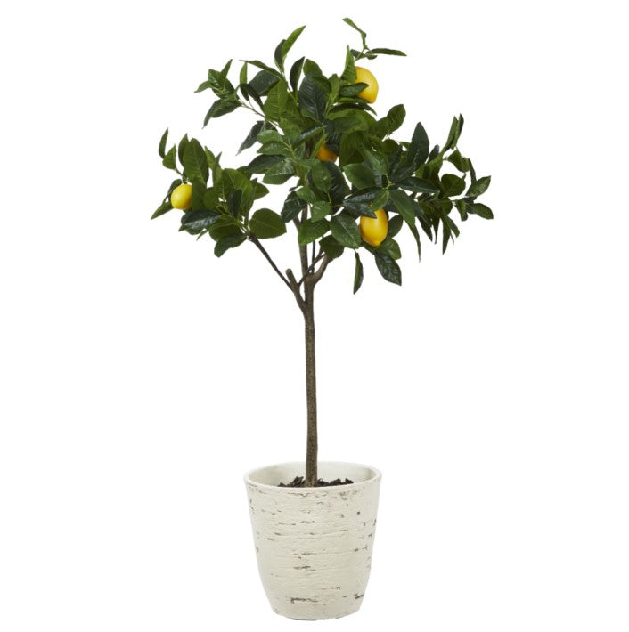 Lemon Tree-Rustic Stone Look Planter Pot