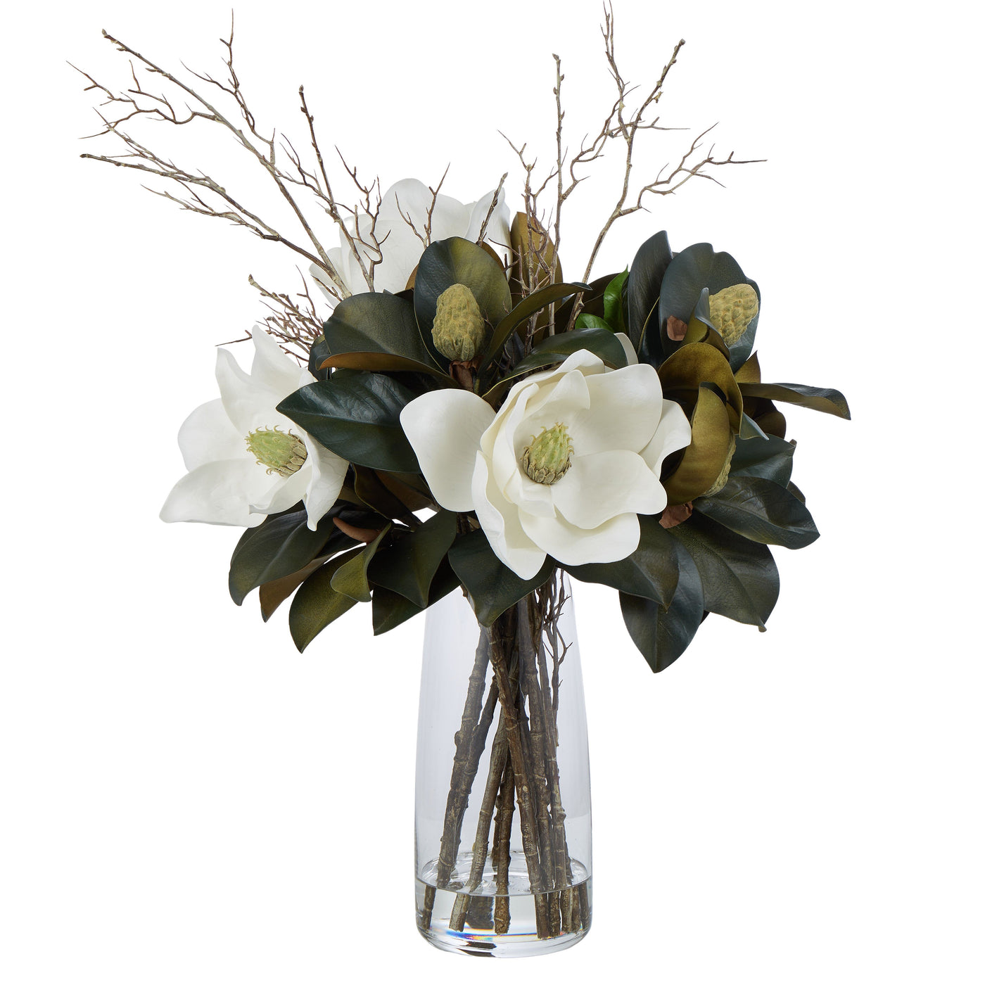 Magnolia Grandiflora in Alana Vase 75cm