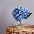 Hydrangea in Sphere Vase Blue 23cm