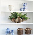 Decorative shelf with a large shell planter, ceramic vases, and woven baskets.