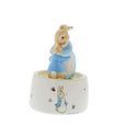 Beatrix Potter 12cm Mrs. Rabbit & Peter Musical