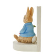 Beatrix Potter 16cm Peter Rabbit Book Stop back view