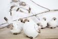 Set of two resin bird figurines in soft white and brown tones with textured feather detailing, decorative home accents.