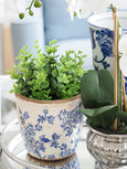 Blue floral stoneware herb pot styled with fresh parsley on a kitchen bench near a window
