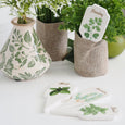 Bud Vase Enchanted - Hamptons Style