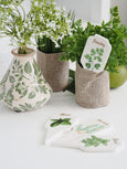 Herb plant labels with illustrated parsley, mint, rosemary and basil, styled beside green foliage and a botanical ceramic vessel on a white surface