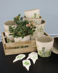 A set of five white ceramic garden stakes with pointed ends. Each stake is labelled with a different herb name (Basil, Mint, Parsley, Thyme, Rosemary) in green lettering and has a simple green botanical illustration. 