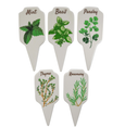 A set of five white ceramic garden stakes with pointed ends. Each stake is labelled with a different herb name (Basil, Mint, Parsley, Thyme, Rosemary) in green lettering and has a simple green botanical illustration. 