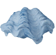 A decorative resin object shaped like a large clam shell, shown with the two halves joined. The shell has a pronounced, wavy, and ribbed texture and is a matte white colour with blue wash or streaks following the lines of the shell.