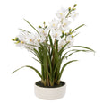 Artificial Cymbidium Orchid Pot in white with lifelike green foliage and decorative pot, 85cm tall.